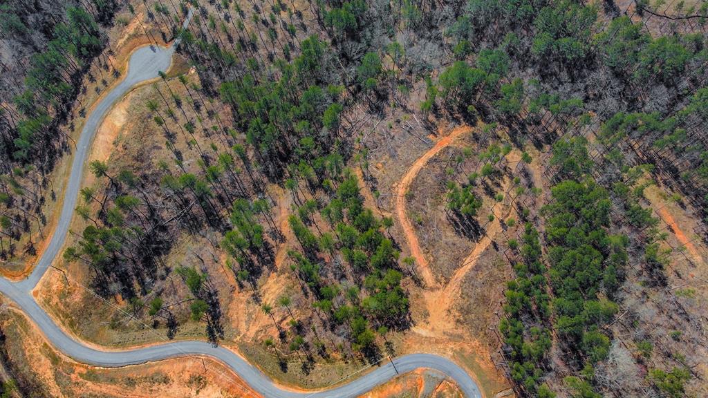 Ellijay, Georgia 30540, United States, ,Land,Active,62539