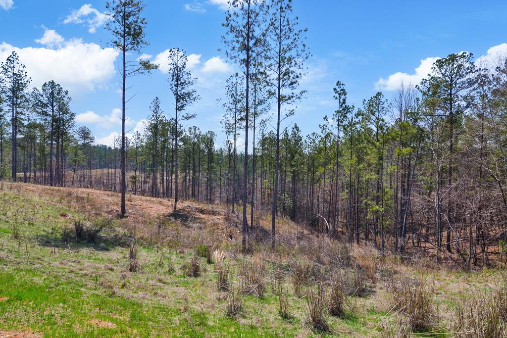 Lot 150R Blalock Mountain Road