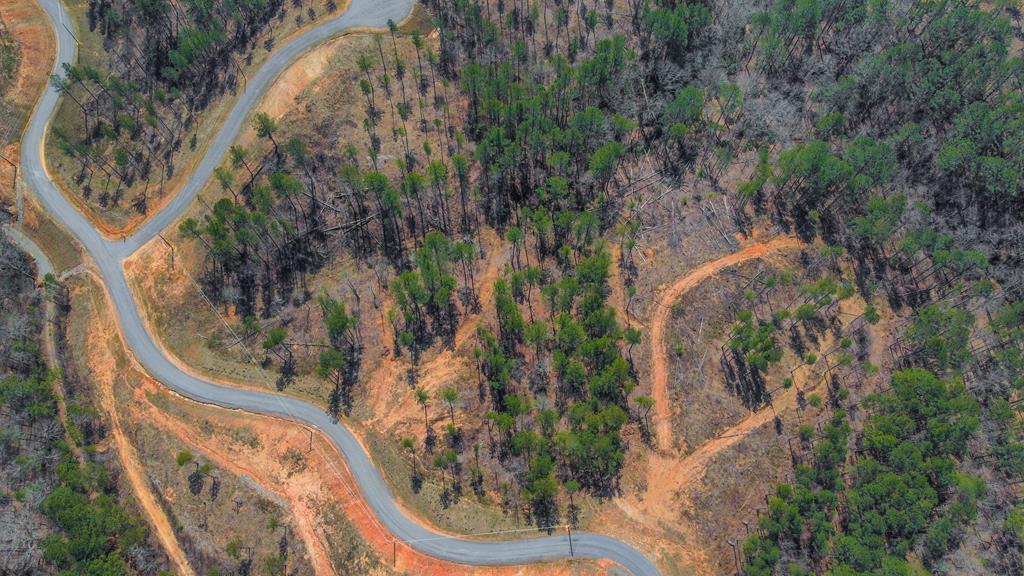 Ellijay, Georgia 30540, United States, ,Land,Active,62539