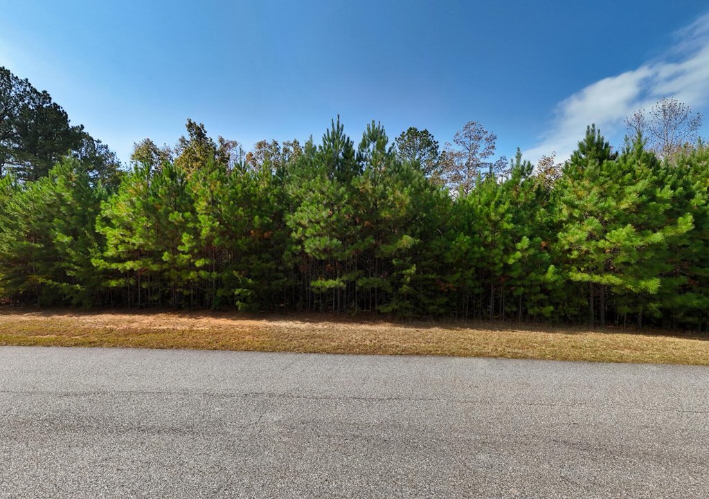 Lot 42 Water Oak Lane