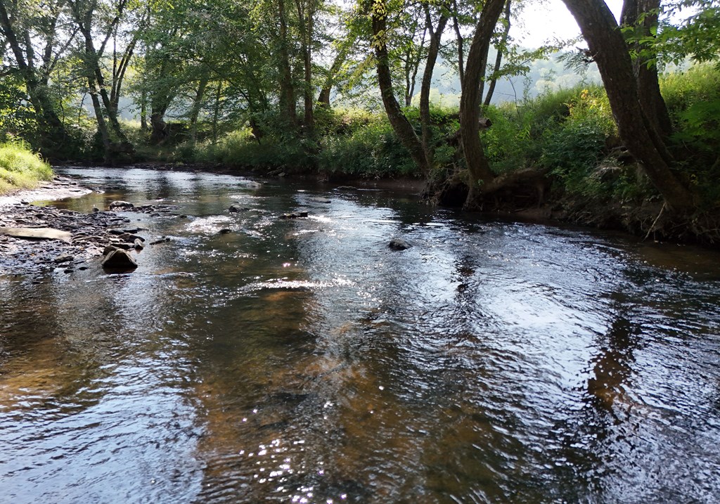 401 Mountain Rivers Road