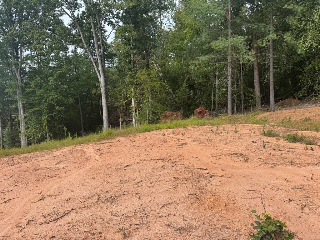 100 Cold Branch Road