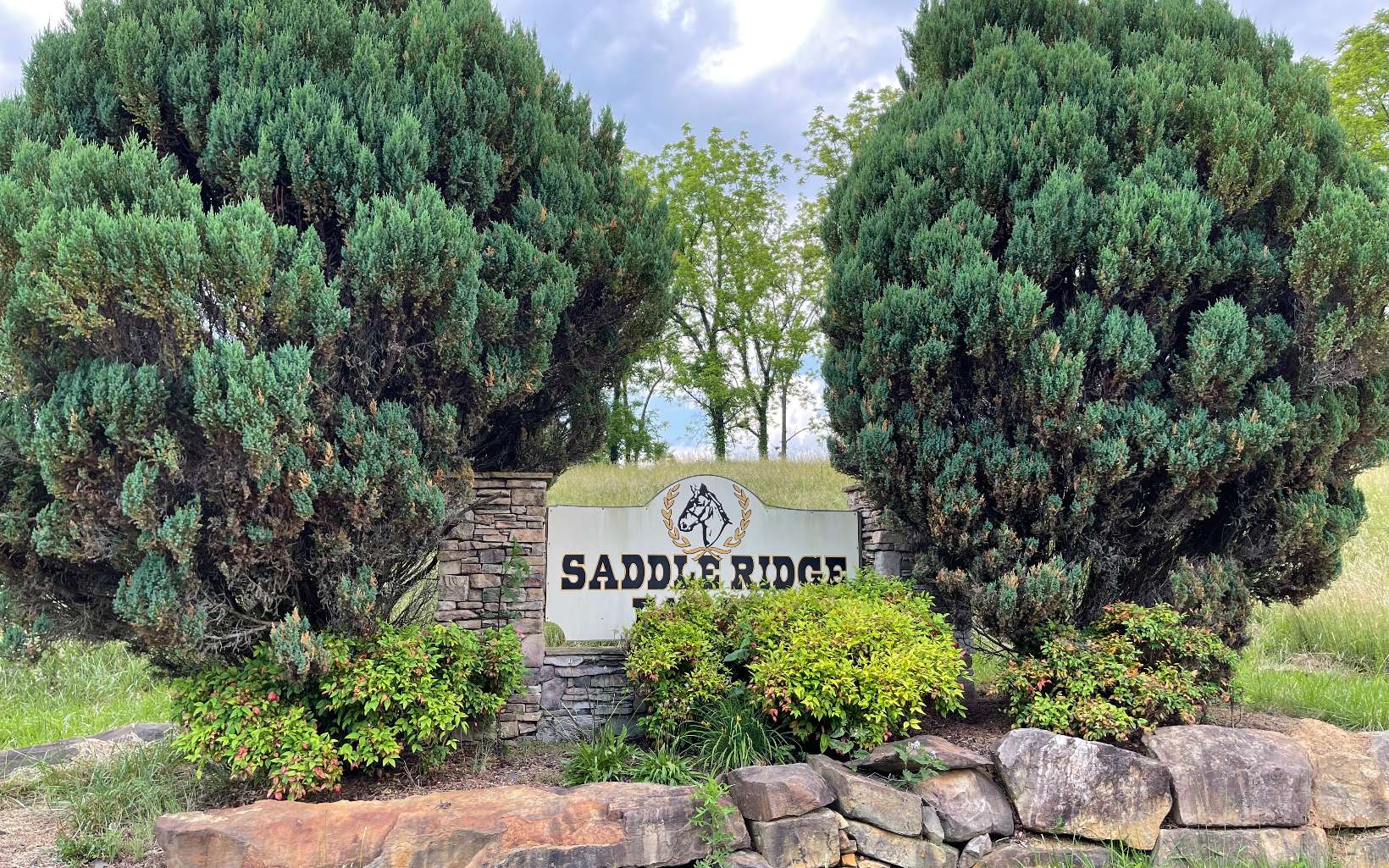 Lot 14B Saddle Ridge Farms