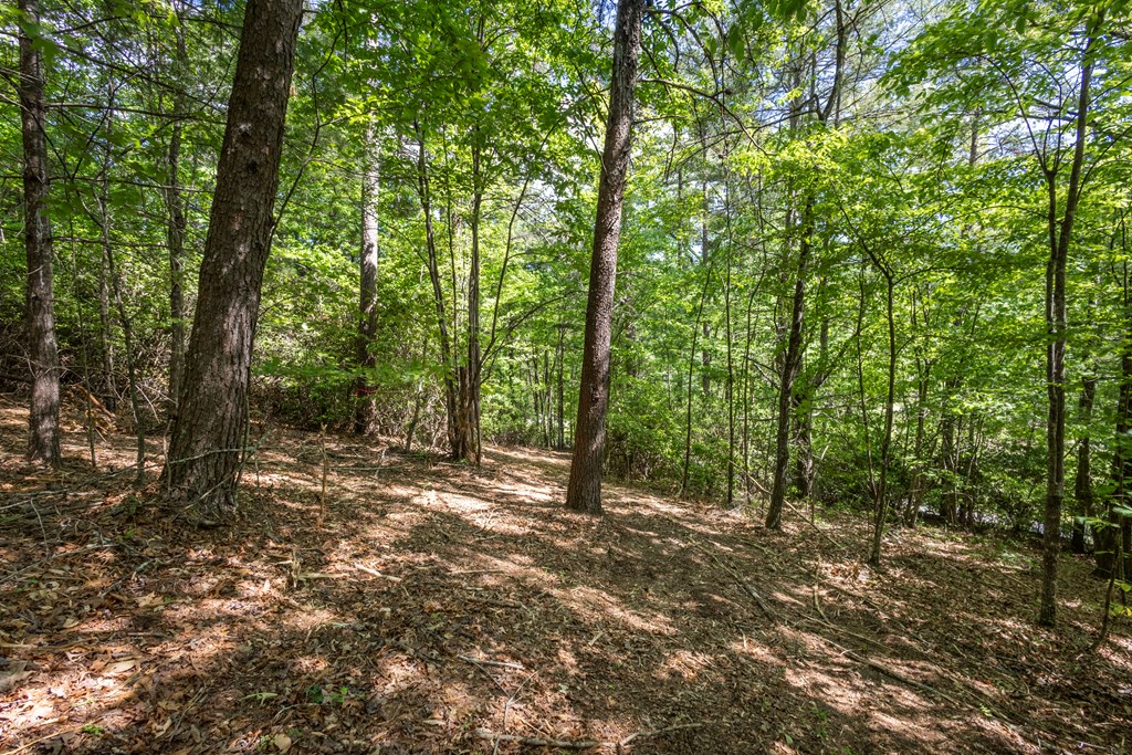 4.2 acre Donley Road