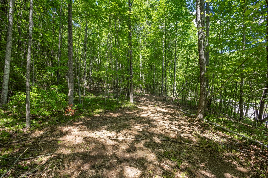 4.2 acre Donley Road