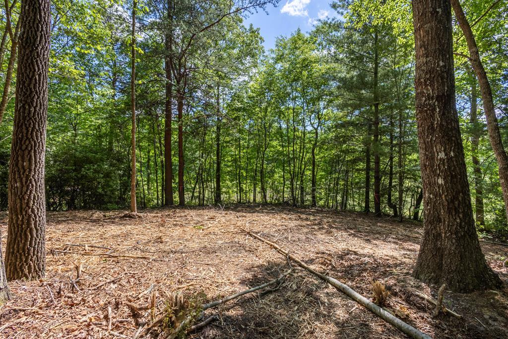 4.2 acre Donley Road