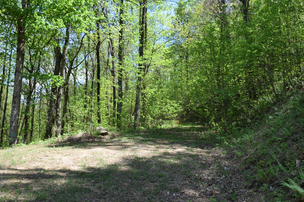 Lot 190 Hawks Nest Court