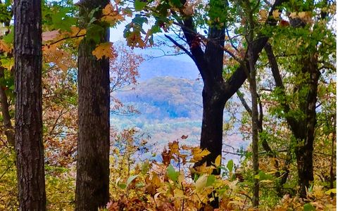 43.91 Old Burnt Mountain Road Ellijay GA 30540