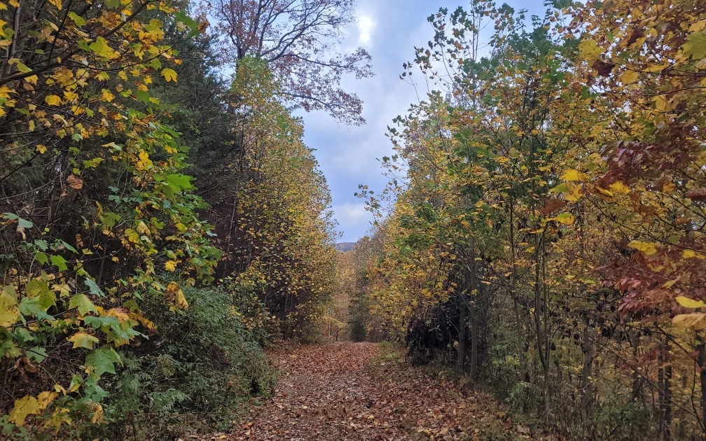 43.91 Old Burnt Mountain Road