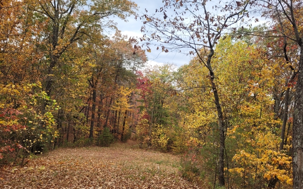 43.91 Old Burnt Mountain Road