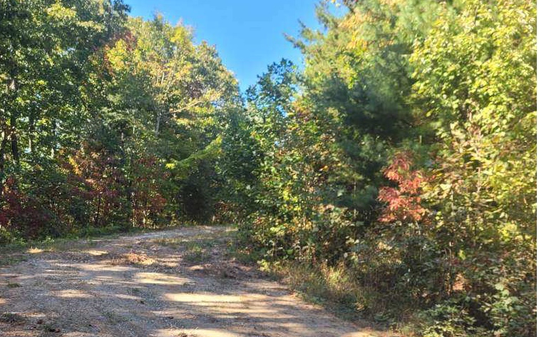 43.91 Old Burnt Mountain Road