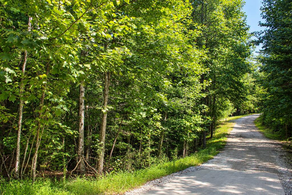 Lot 18 Wilderness Walk