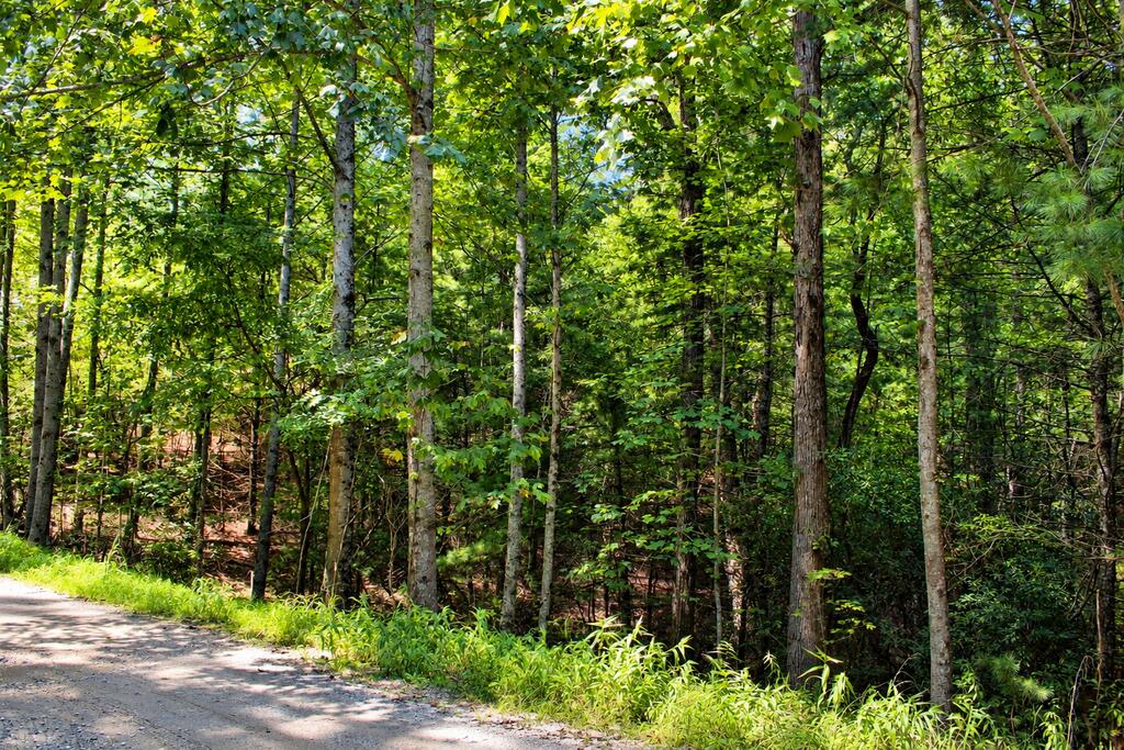 Lot 18 Wilderness Walk