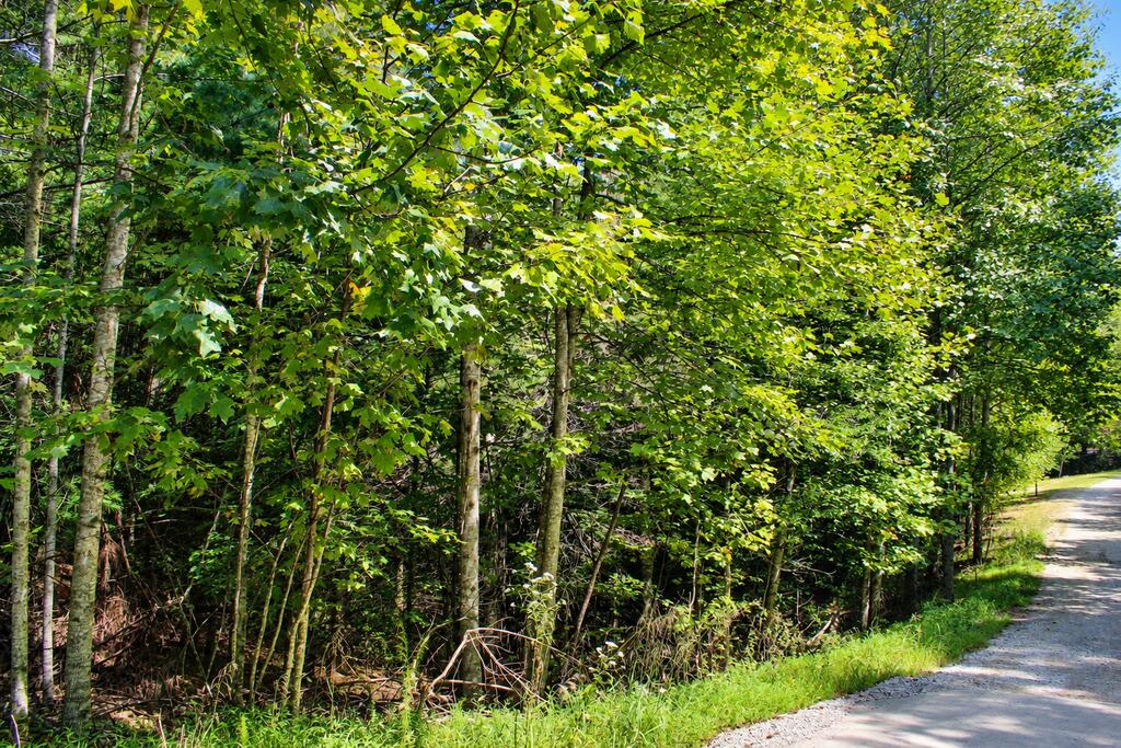 Lot 18 Wilderness Walk