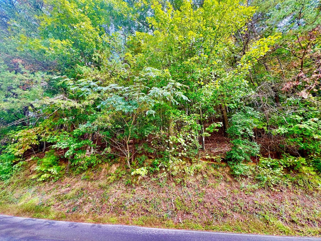 12 Cherokee Drive