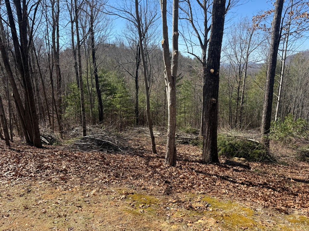 Lot 56 Fires Creek Cove Road