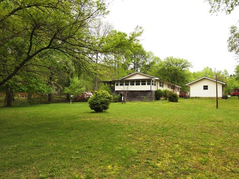 A home in Mineral Bluff