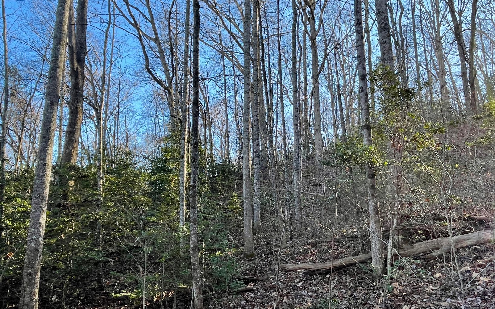 Lot 14 Kilpatrick Point Terrace