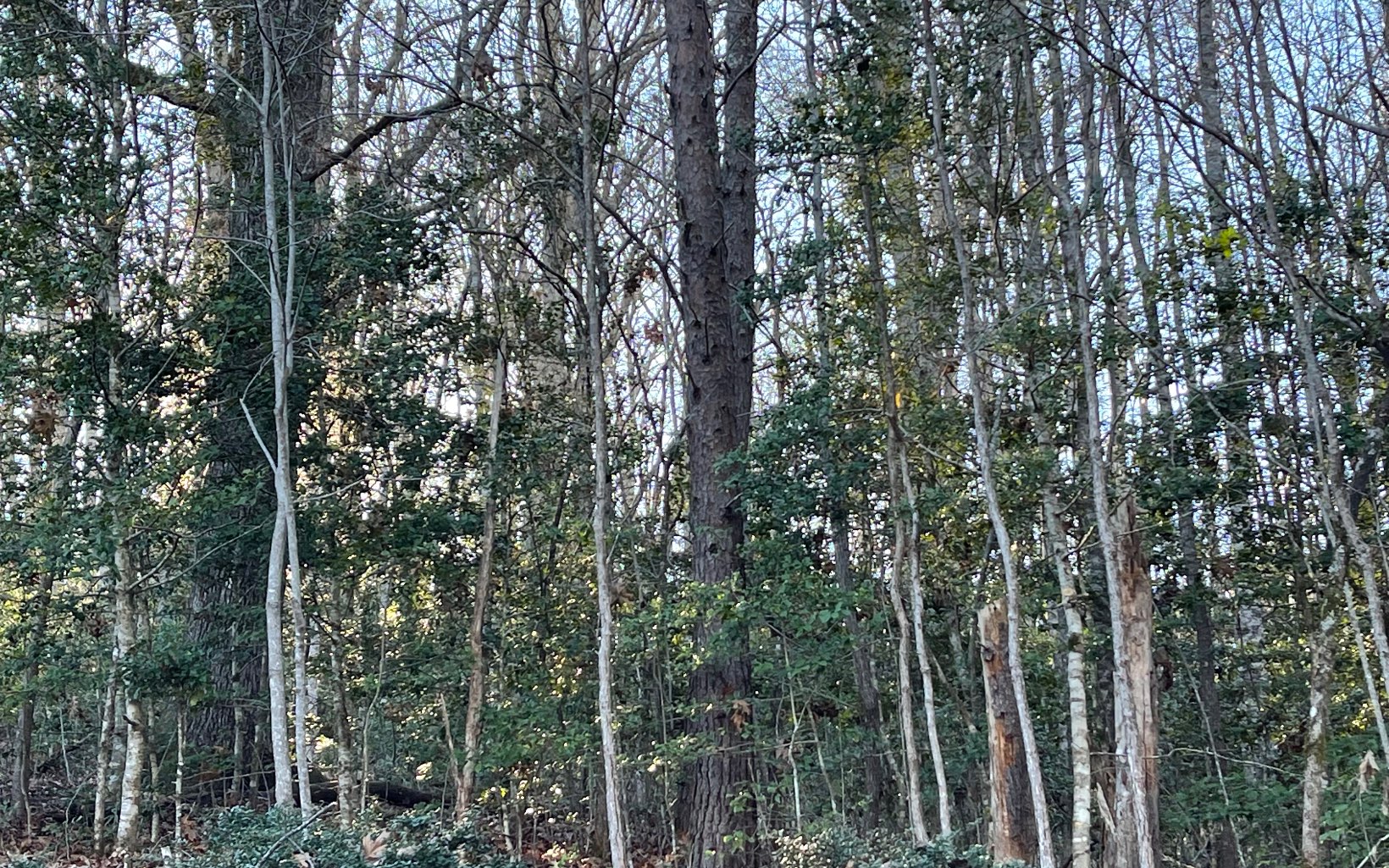 Lot 14 Kilpatrick Point Terrace