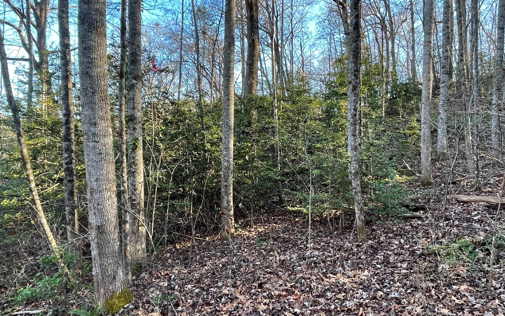 Lot 14 Kilpatrick Point Terrace