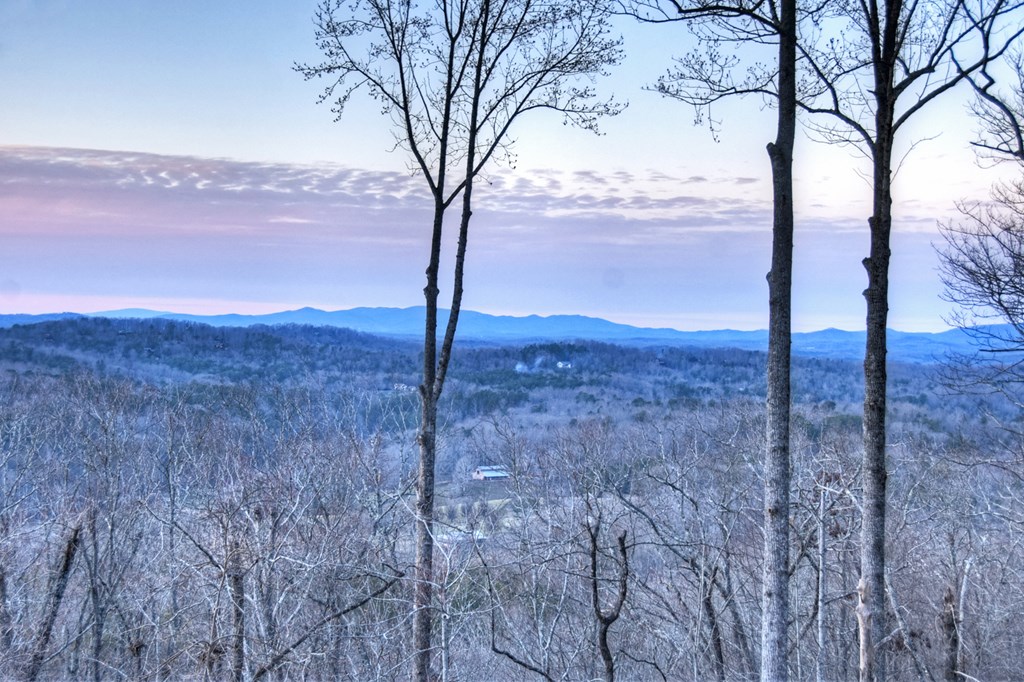 415 Green Ridge Trail