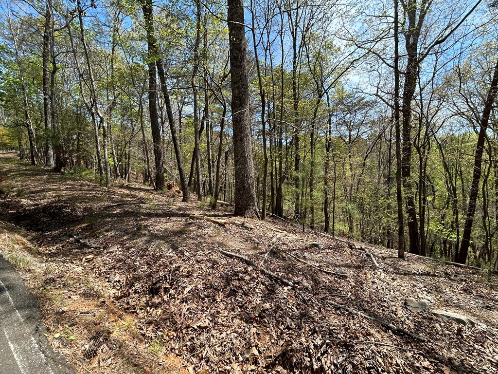 LT1944 Palmetto Drive