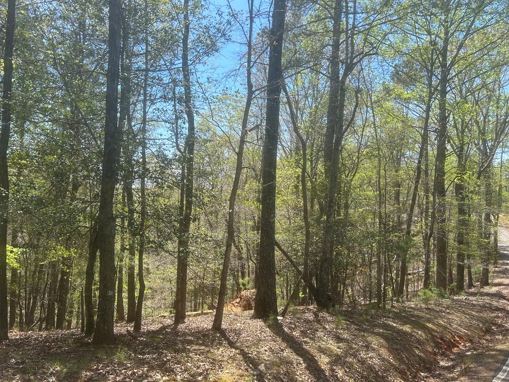 LT1944 Palmetto Drive