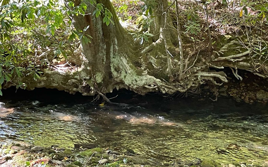 5 Tusquittee Crossing