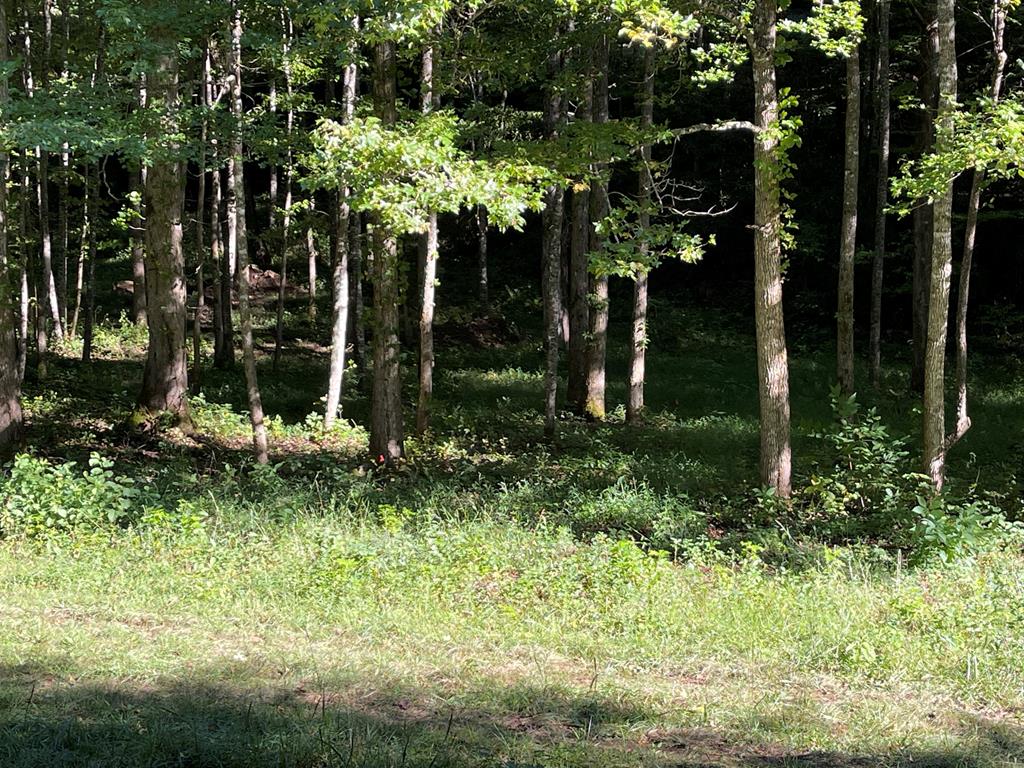 5 Tusquittee Crossing