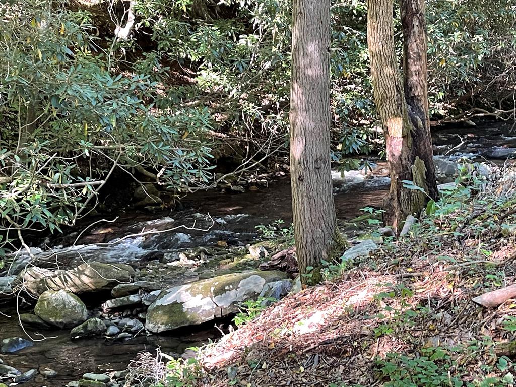 5 Tusquittee Crossing