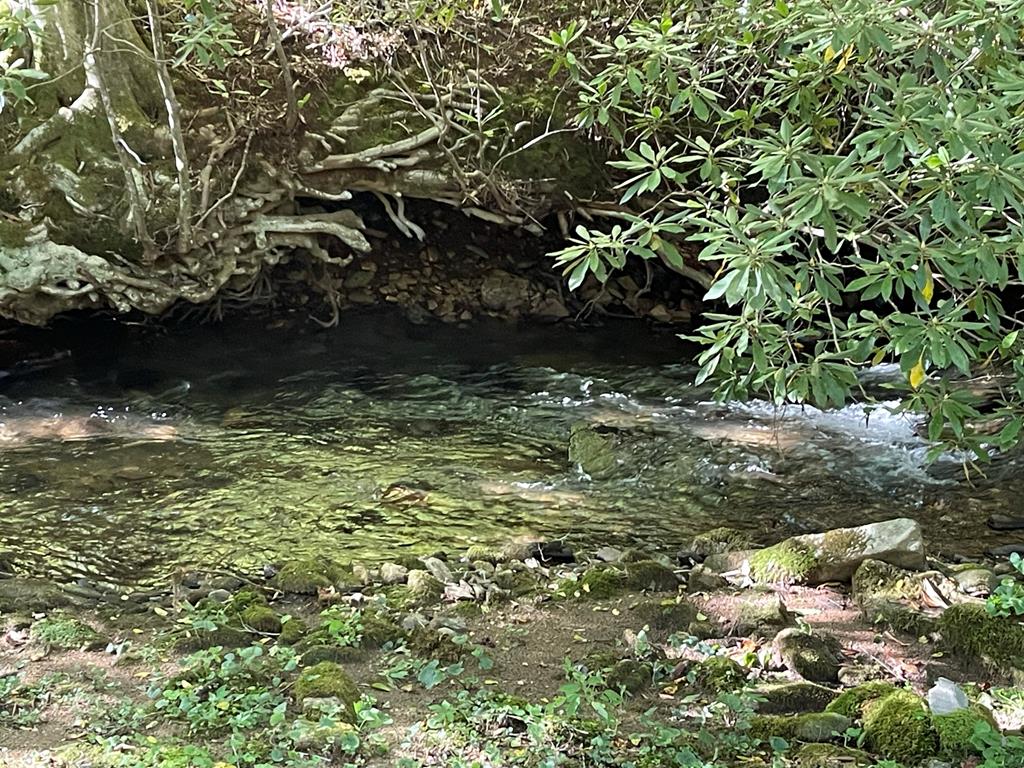 5 Tusquittee Crossing