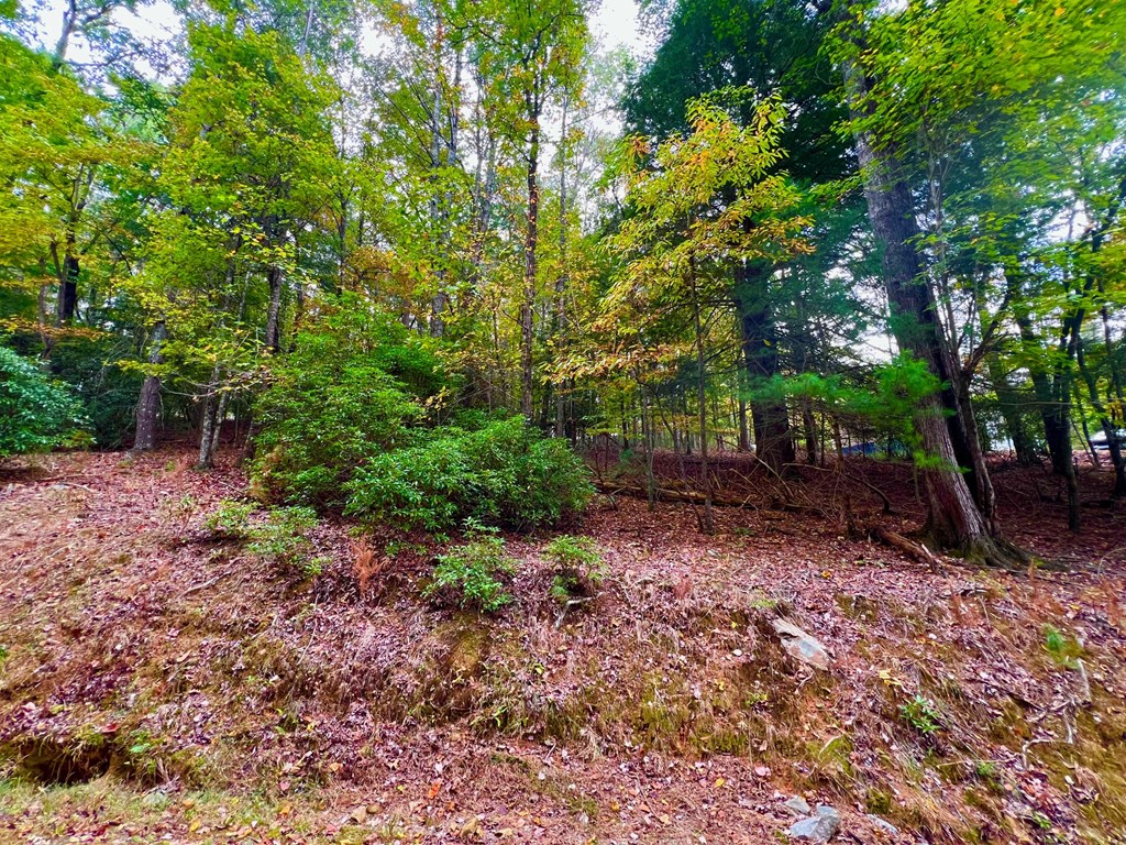 548 North Satsuma Court