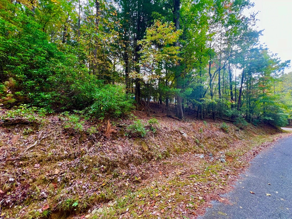 548 North Satsuma Court