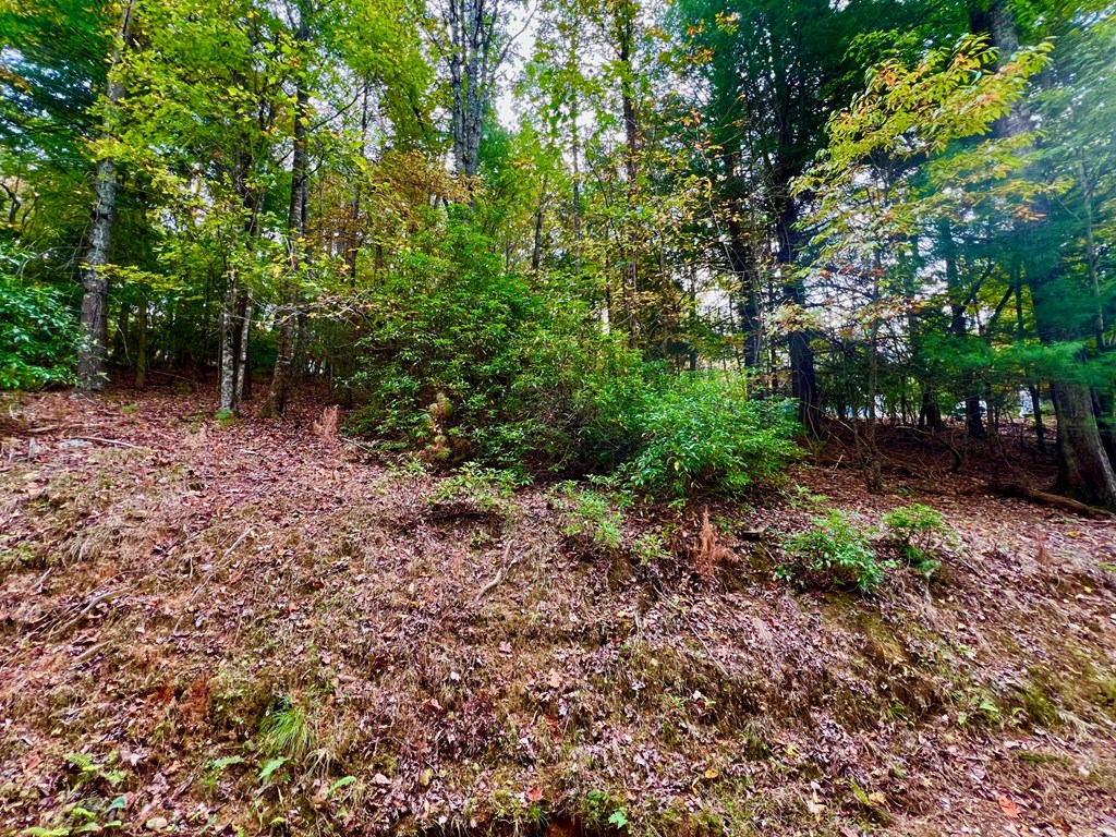 548 North Satsuma Court