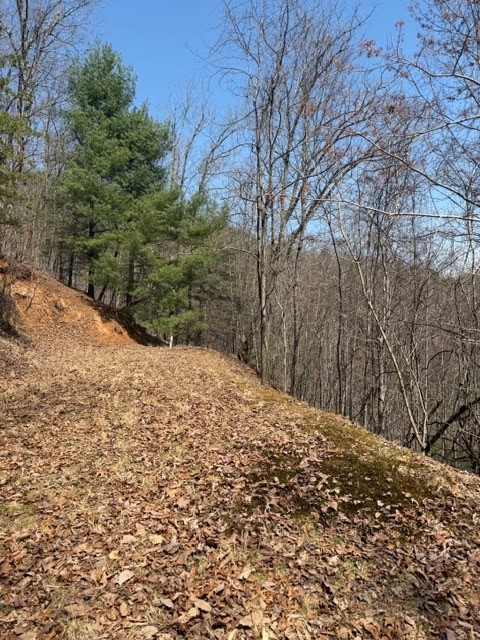 Lot 16 Laurel Mountain