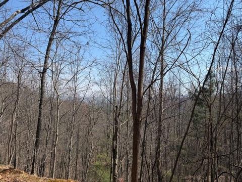 Lot 16 Laurel Mountain Brasstown NC 28902