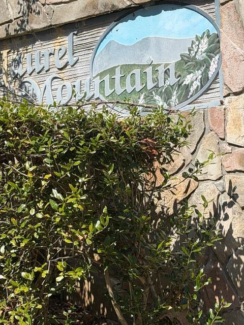 Lot 16 Laurel Mountain