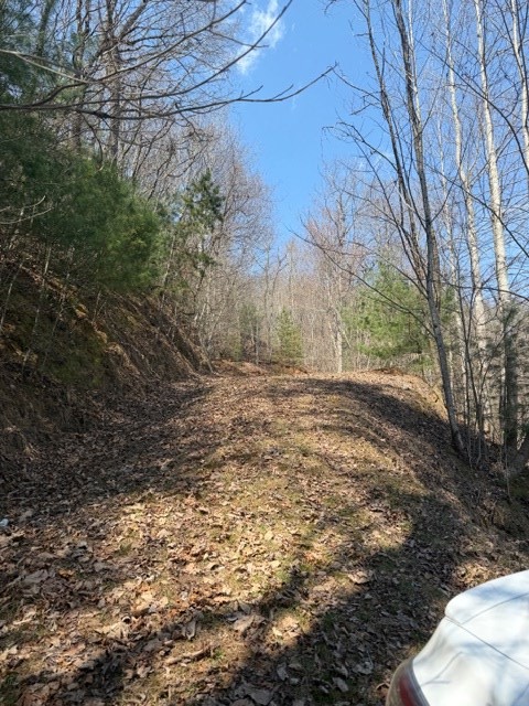 Lot 16 Laurel Mountain