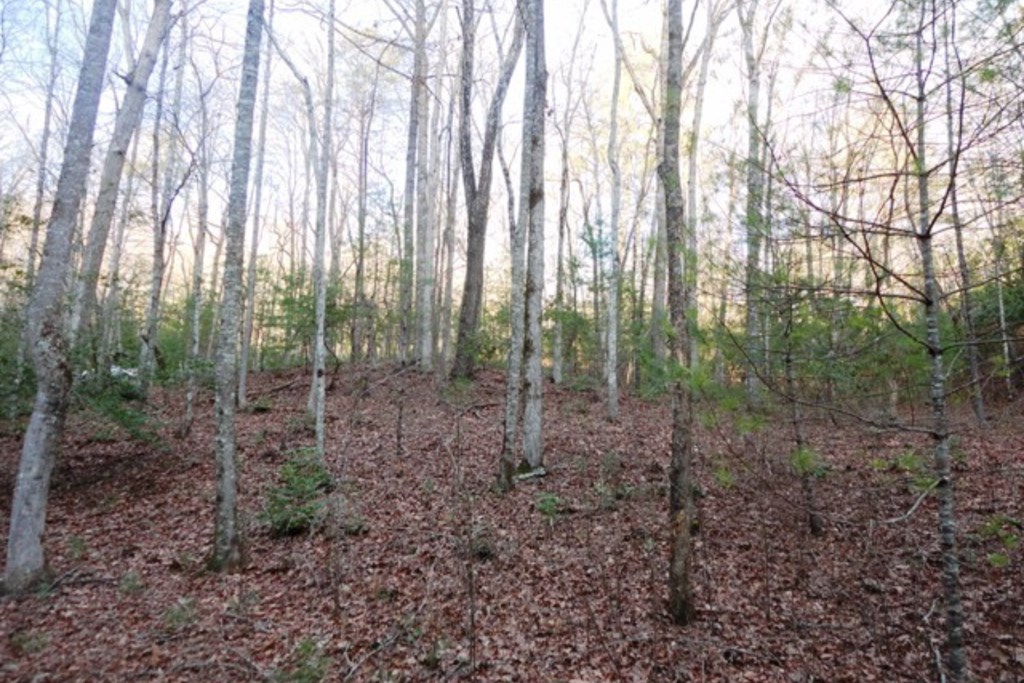 LT 23 Shelton Springs S/D