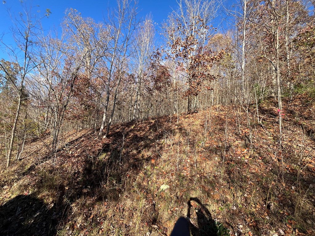 41 42 43 Ridges Overlook