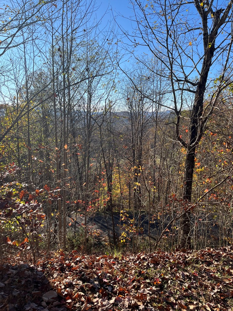 41 42 43 Ridges Overlook