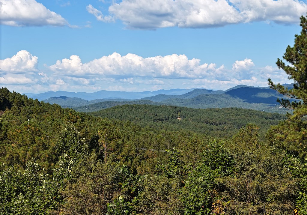 LOT55 Thirteen Hundred