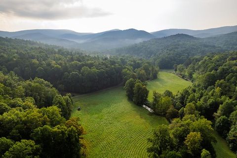 228 Holly Branch Drive Ellijay GA 30540