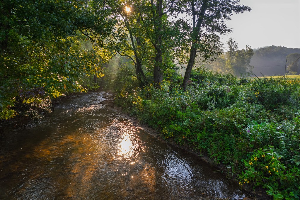 228 Holly Branch Drive