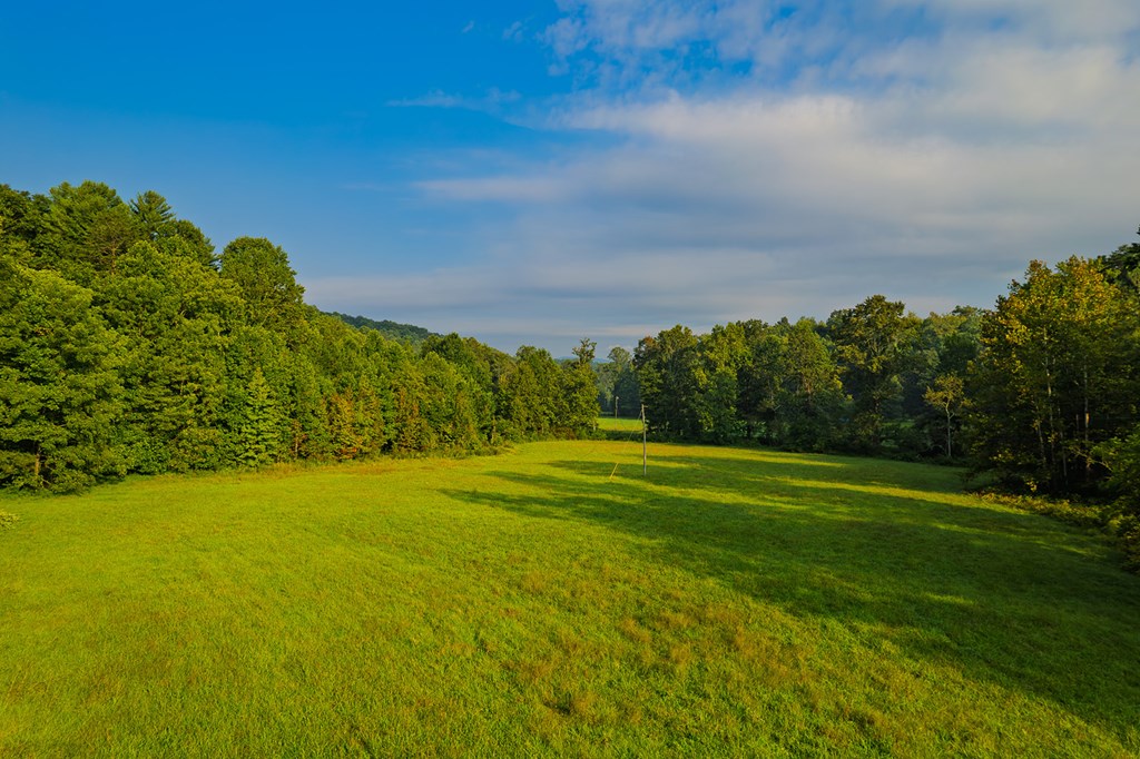 228 Holly Branch Drive