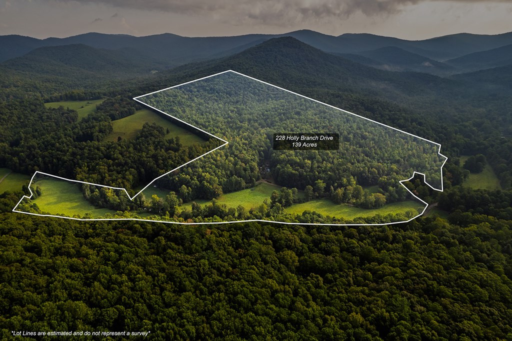 228 Holly Branch Drive