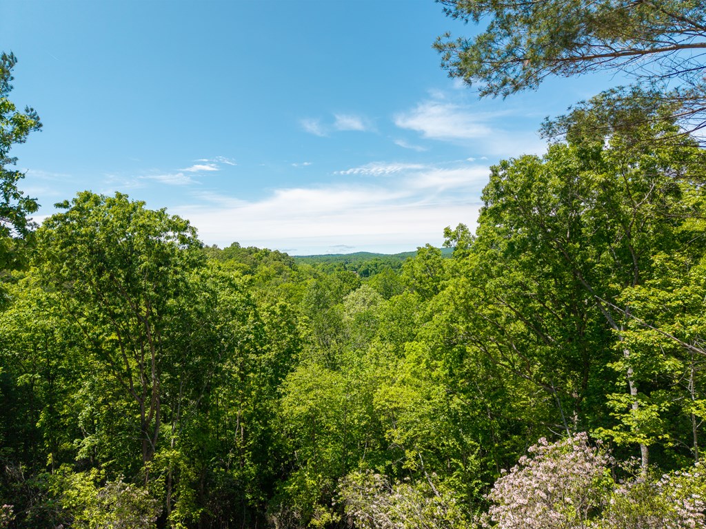 Lot 7 Briar Creek Court