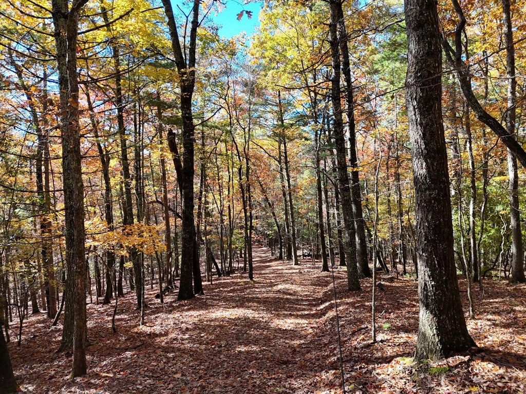 80.62 AC Morganton Hwy