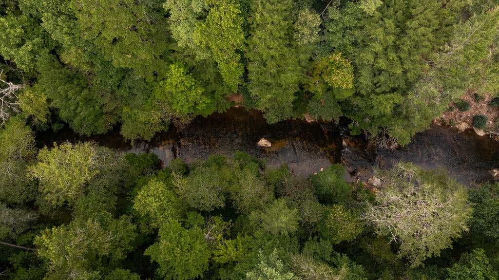 43 Dogwood Riverside Drive