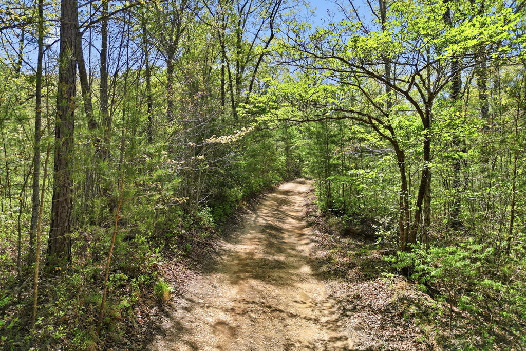 1933 W Highway 136